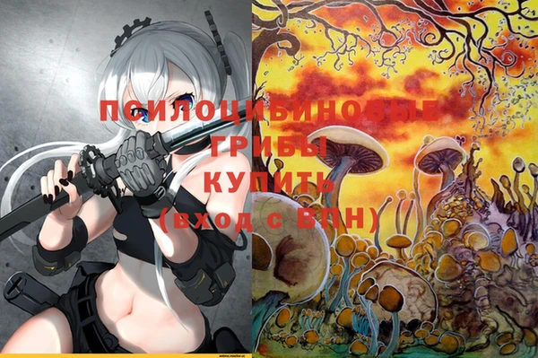 гашиш Каменка