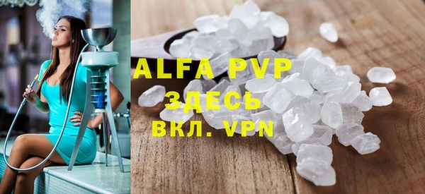 mdpv Каменногорск