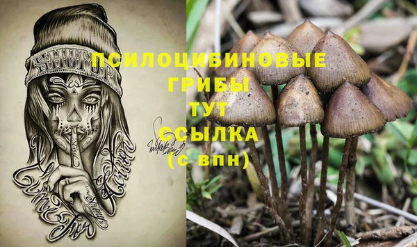 гашиш Каменка